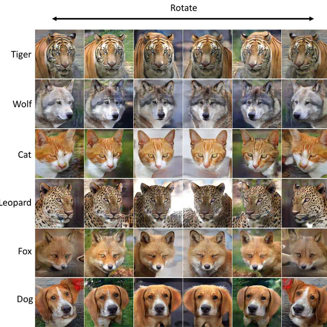 Class-Continuous Conditional Generative Neural Radiance Field